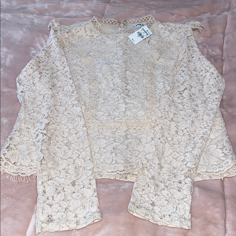 Express Floral Lace Top in Cream/Blush